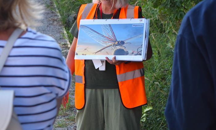 A tour guide wearing a headset and a high vis orange vest, talking to the tour group and showcasing an image of a giant dragonfly.